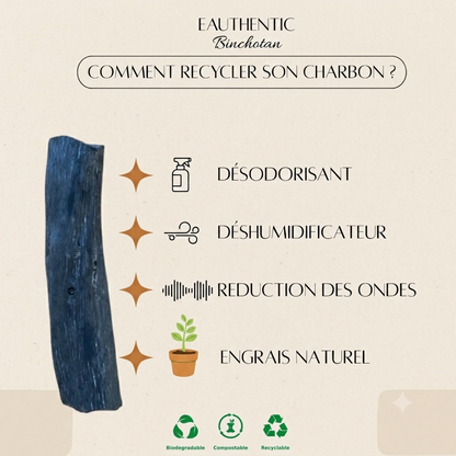 Gourde en verre 1L + Bâton Binchotan